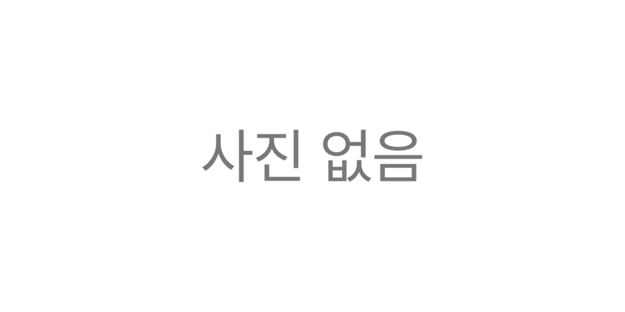 사진 없음/None